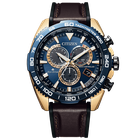 This is a CITIZEN PROMASTER CB5039-11L  product image