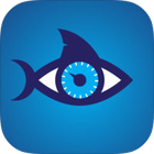 Shark Count Icon
