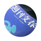 青山繁晴：トンデモ候補
