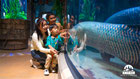 Angkor Wildlife & Aquarium｜シェムリアップ水族館