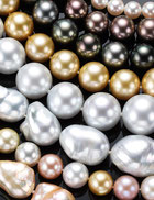 Perlen aus aller Welt: Ausstellung mit der weltgrössten Tahiti Perle.