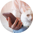 Frau mit weißer Katze am Schoß hält schwarzes Handy in der Hand.