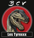 logo du BCV