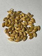 カラメルモルト