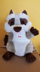 Klasse 1a Waschbären