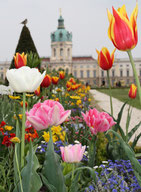 Schlosspark Charlottenburg. Foto: Helga Karl