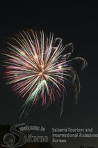 平成26年 さいたま市花火大会