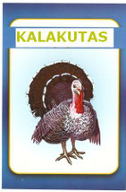Naminiai gyvuliai ir paukščiai