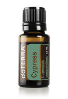 doTERRA Zypresse