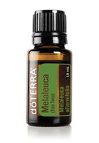 doTERRA Teebaum Öl