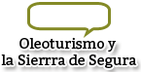 Oleoturismo y la Sierra de Segura