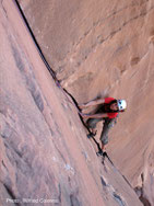 Dans le grès de Wadi Rum.