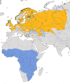 Karte zur Verbreitung des Schilfrohrsängers (Acrocephalus schoenobaenus)