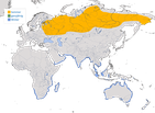 Karte zur Verbreitung des Terekwasserläufers (Xenus cinereus) weltweit. 