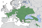 Karte zur Verbreitung des Mittelspecht (Dendrocoptes medius) weltweit.