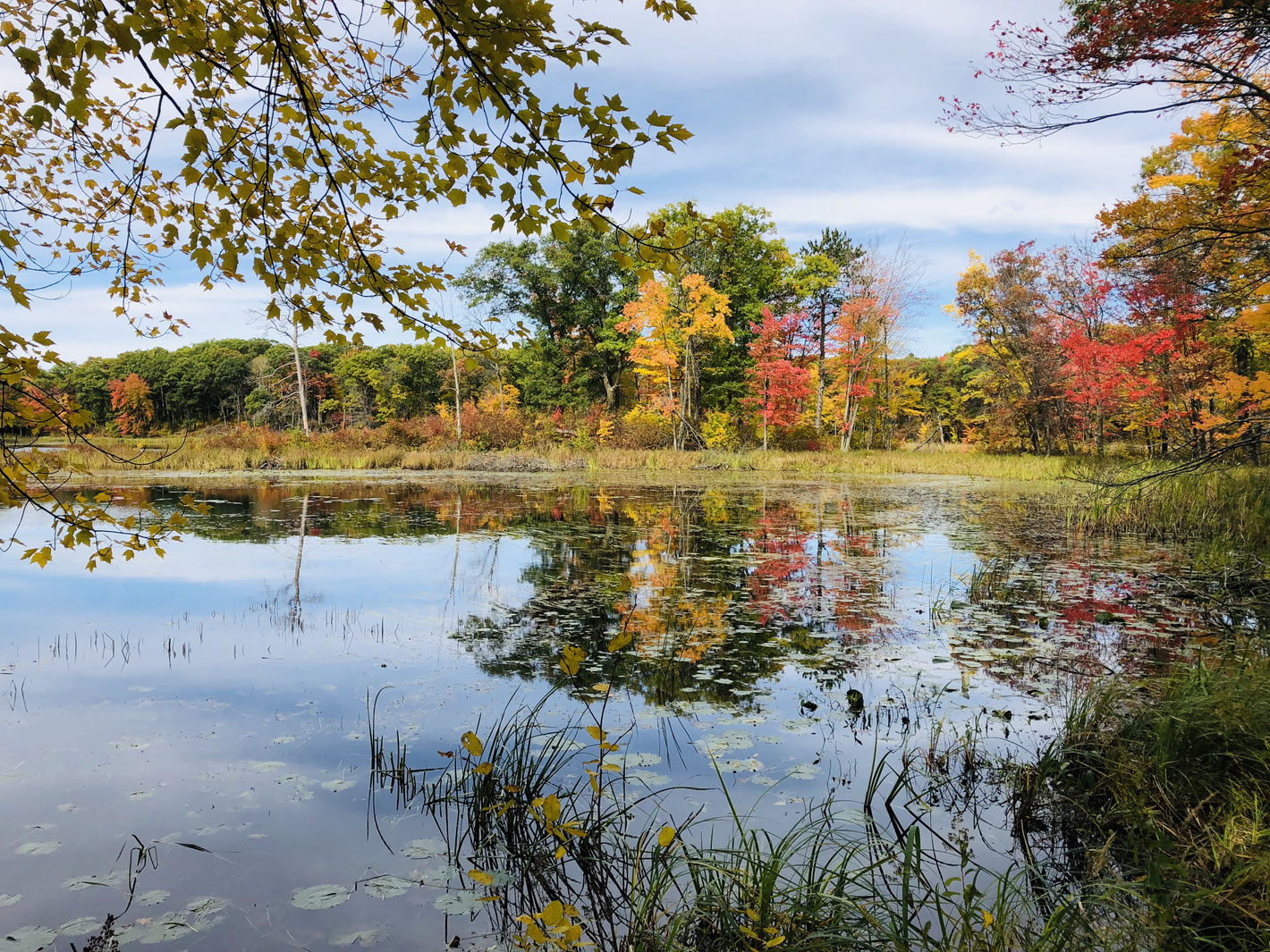 Our Story - hungrybeaversugarcamp