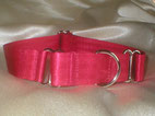 Martingale-Halsband rot 2,5 cm