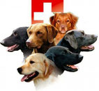 Retriever-Club Schweiz