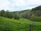 Waterval belgische Ardennen