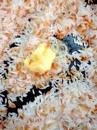 türkischer Reis Zubereitung