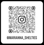Wir sind auch auf Instagram aktiv