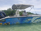 Excursion en mer avec La Colombe Excursions à Trinité en Martinique