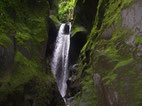 Randonnée des Gorges de la Falaise à Ajoupa Bouillon Martinique