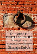 Toulouse en petite coupures, gabrielle Dubois 2