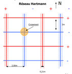 Schéma d'un réseau Hartman