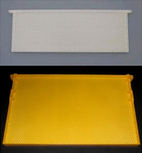 kunststoffwaben, nicot, zander, dnm