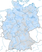 Birkenzeisig (Winter)