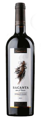 TECTONIC Feteasca Neagra - Schwarzmädchentraube - Weingut Crama Girboiu 2022