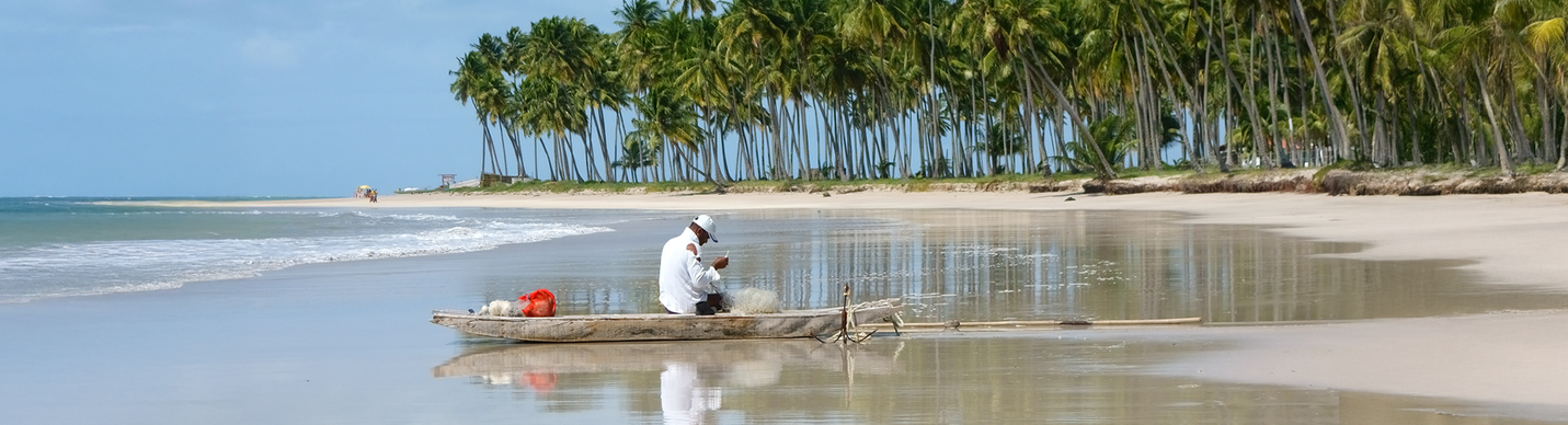 carneiros strand, tamandaré, kokoswälder, weisser sand, fluss delta, gute infrastruktur, tauchen, schnocheln, bootstouren, brasilien, geeignet für kinder