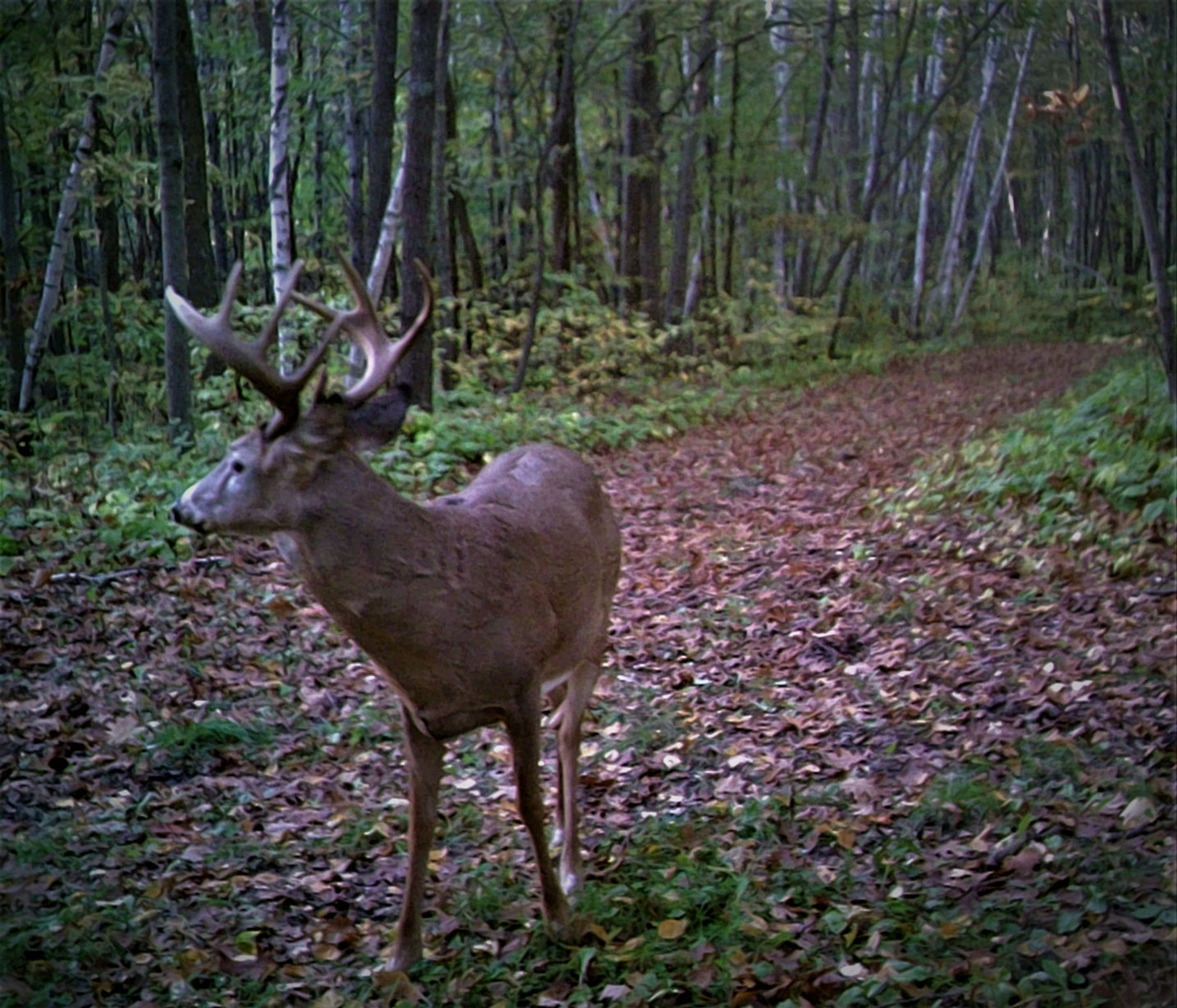 Our Story - hungrybeaversugarcamp