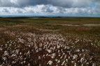 Sliabh Beagh