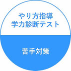 勉強のやり方指導・学力診断テスト：苦手対策