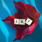 Baumblatt, auf dem die Scrabble-Steine L K F liegen. Symbolisiert das Coaching-Angebot für Lehrkräfte in Funktionsstellen