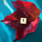 Baumblatt, auf dem der Scrabble-Stein T liegt. Symbolisiert das Coaching-Angebot für schulische Teams. 