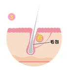 福岡メンズエクラ光脱毛