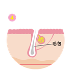 福岡メンズエクラ光脱毛