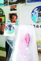 尖閣海域で釣ったアカマチと「尖閣」マークのシールを持つ仲間氏=28日午前、石垣市大川