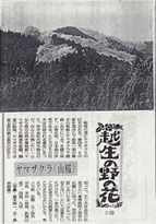 1992.12月から埼玉新聞に連載された「越生の野の花」  -　山桜保存の経緯