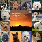 Logo der OG-Spreeathen