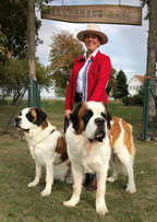 Alwin, Annie und Mama - Wahrzeichen der Ballermann Ranch