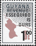 Guyana essequibo is ours revenue