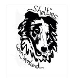 shelties-vom-seenlands Webseite!