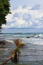 costa rica img 2046
