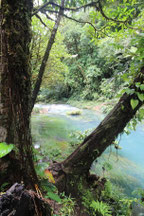 Costa Rica img-1760