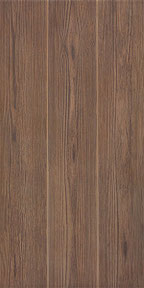 Arce Brown 12" x 24"