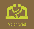 Boutique hostel in the area of Minca and Santa Marta